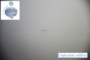 Fotografia scattata da The Half Hermit in una mattina di nuvole basse nei Fiori Occidentali d'Islanda: un piccolo stormo di anatre selvatiche sembra nuotare sospesa nella nebbia. Clima perfetto per confessioni solitarie.