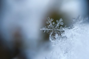 Un fiocco di neve in una fotografia macro.