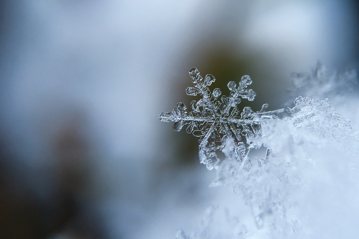 Fotografia macro di un cristallo di neve: le temperature nella Groenlandia orientale sono piuttosto rigide anche nella stagione estiva.